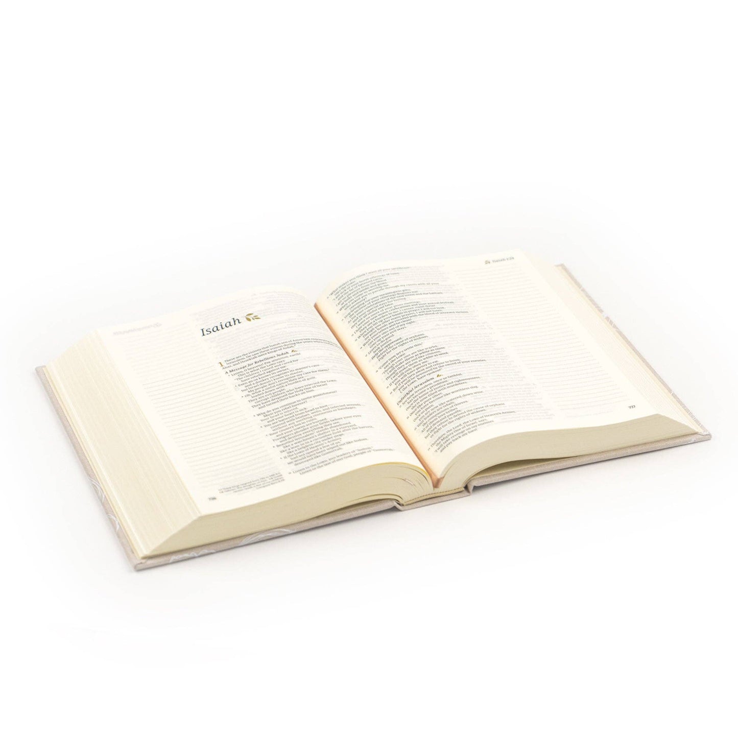 NLT Notetaking Floral Bible