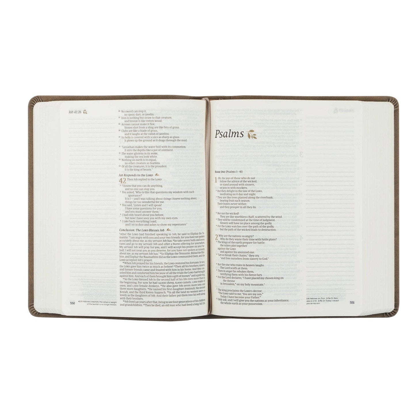 NLT Notetaking Tan Bible