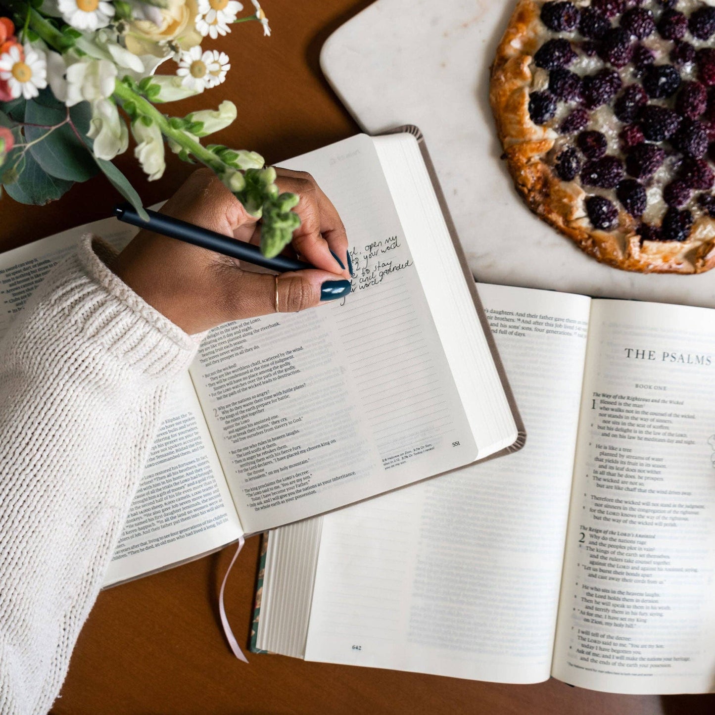 NLT Notetaking Tan Bible