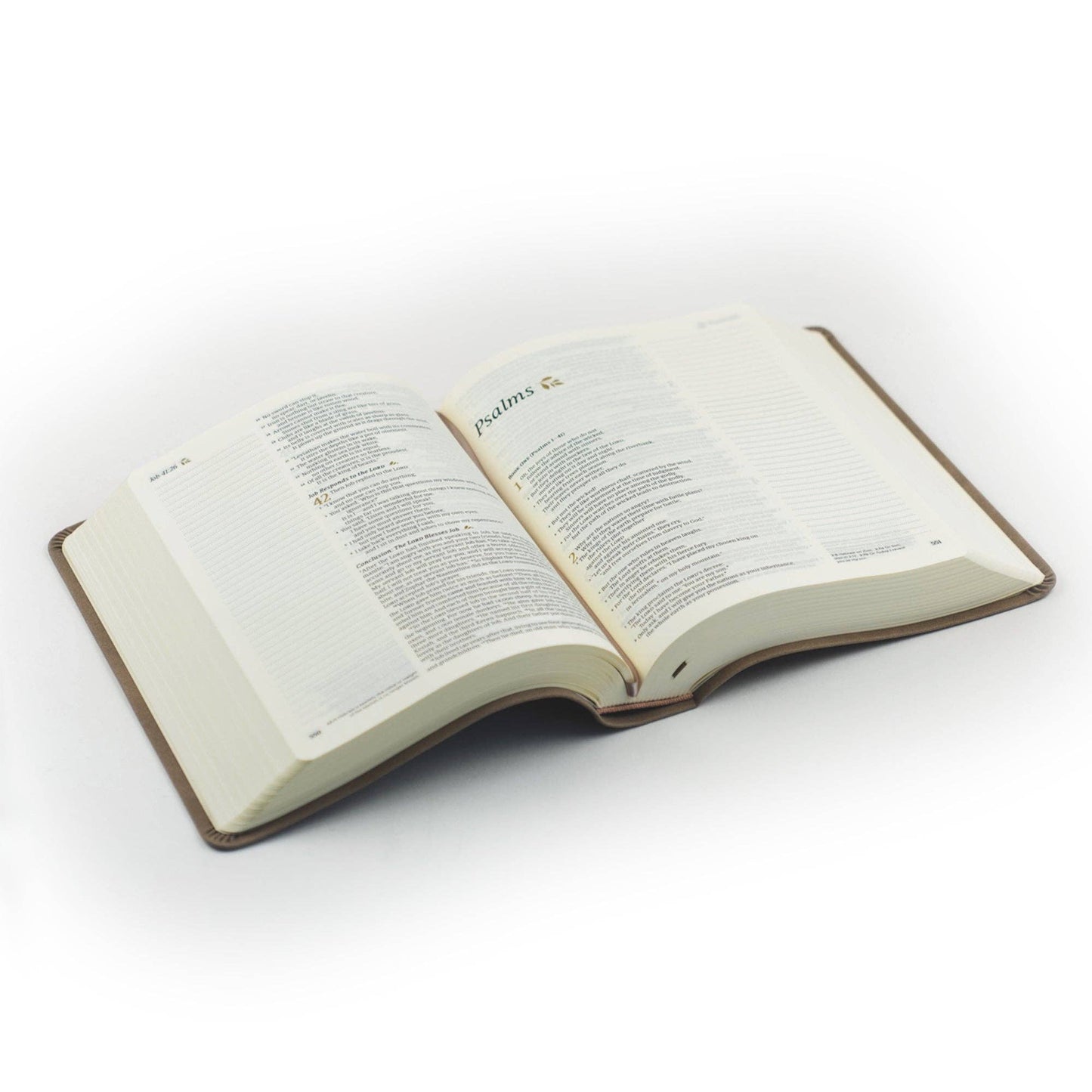 NLT Notetaking Tan Bible