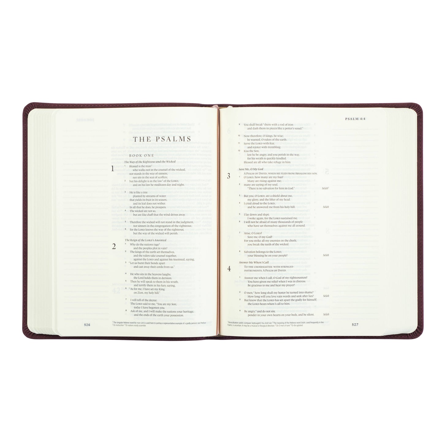 Mauve ESV Journaling Bible