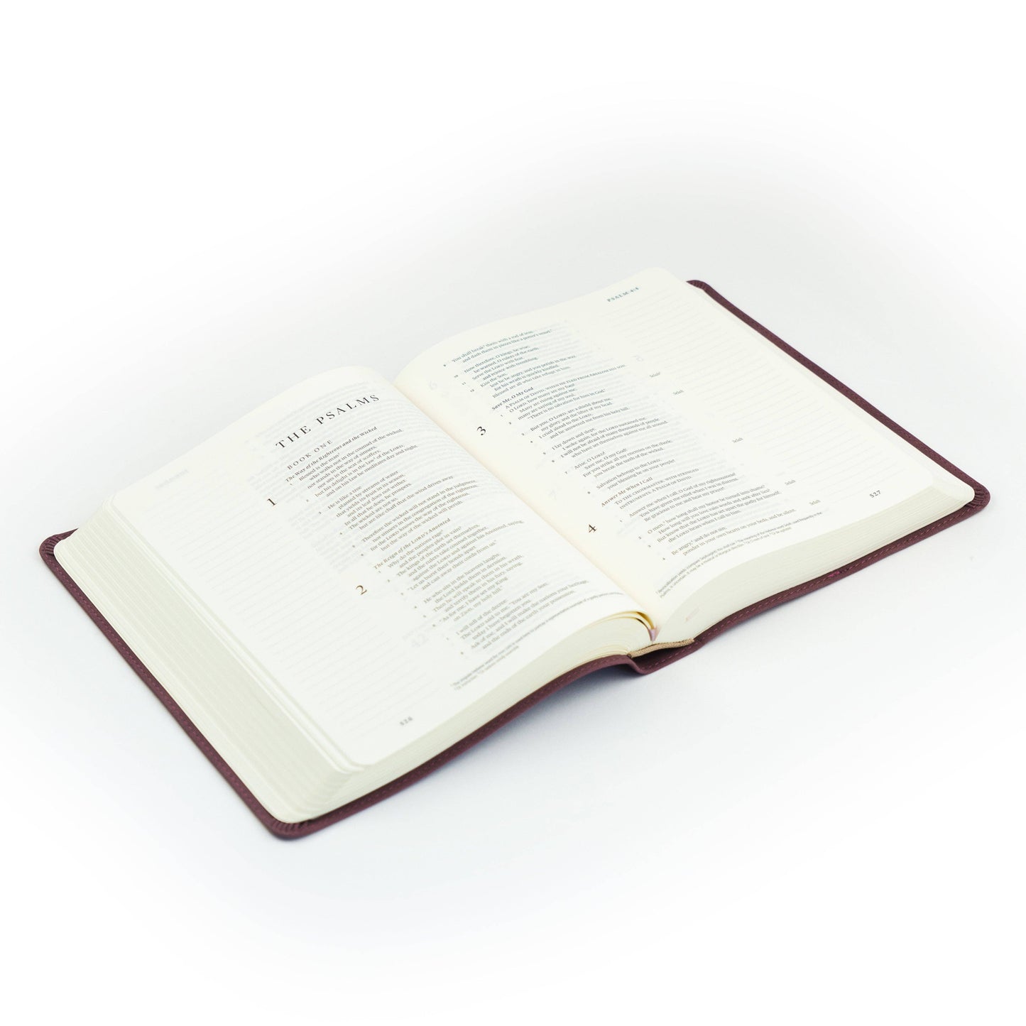 Mauve ESV Journaling Bible