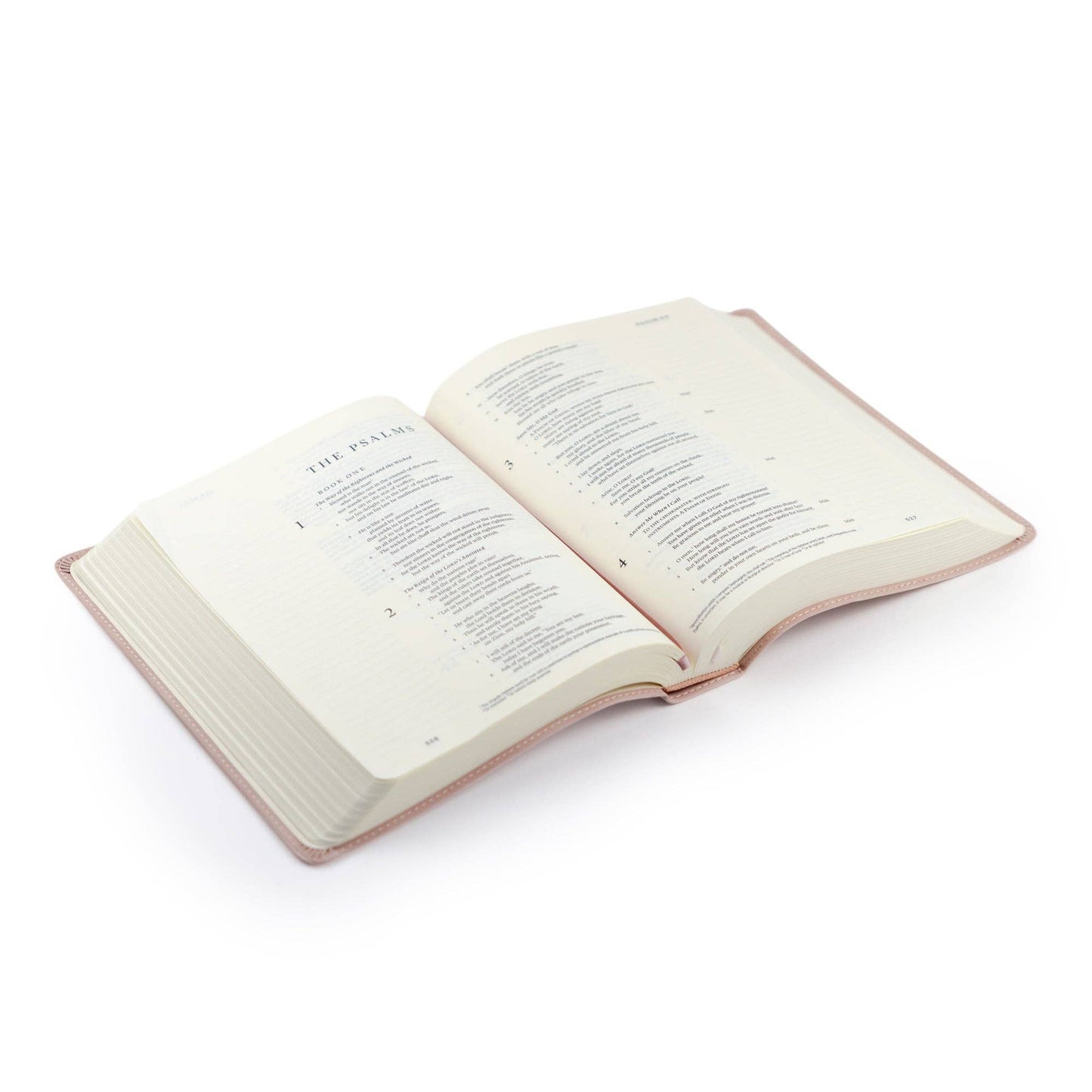 ESV Pink Journaling Bible