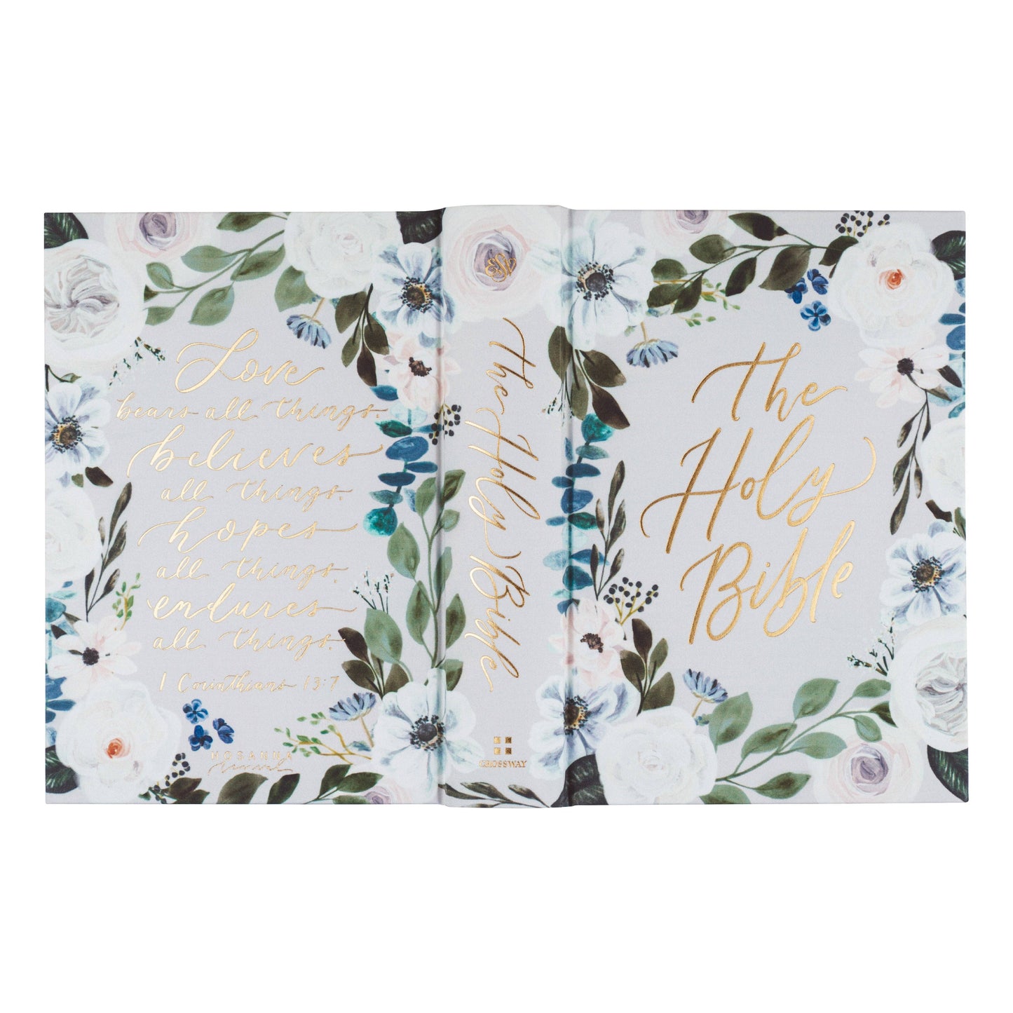 ESV Large Print Journaling Bible